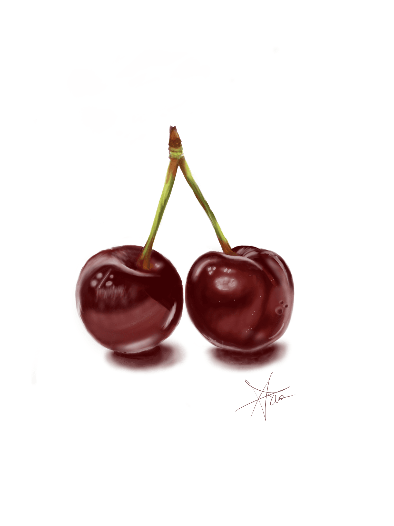 Pittura digitale realistica di due ciliegie rosse unite dal picciolo su fondo bianco, con la firma di Arianna